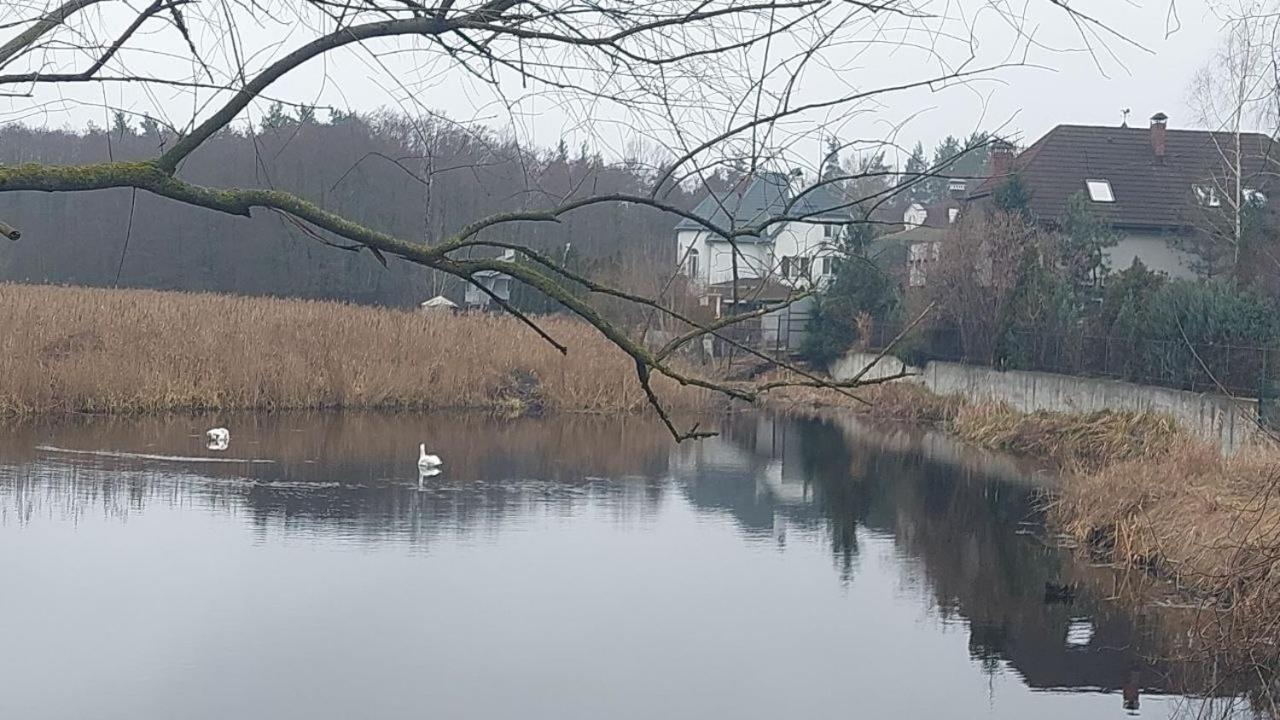 Коттеджный Городок Чапаевка, Голосеевкий Район Kiev Esterno foto