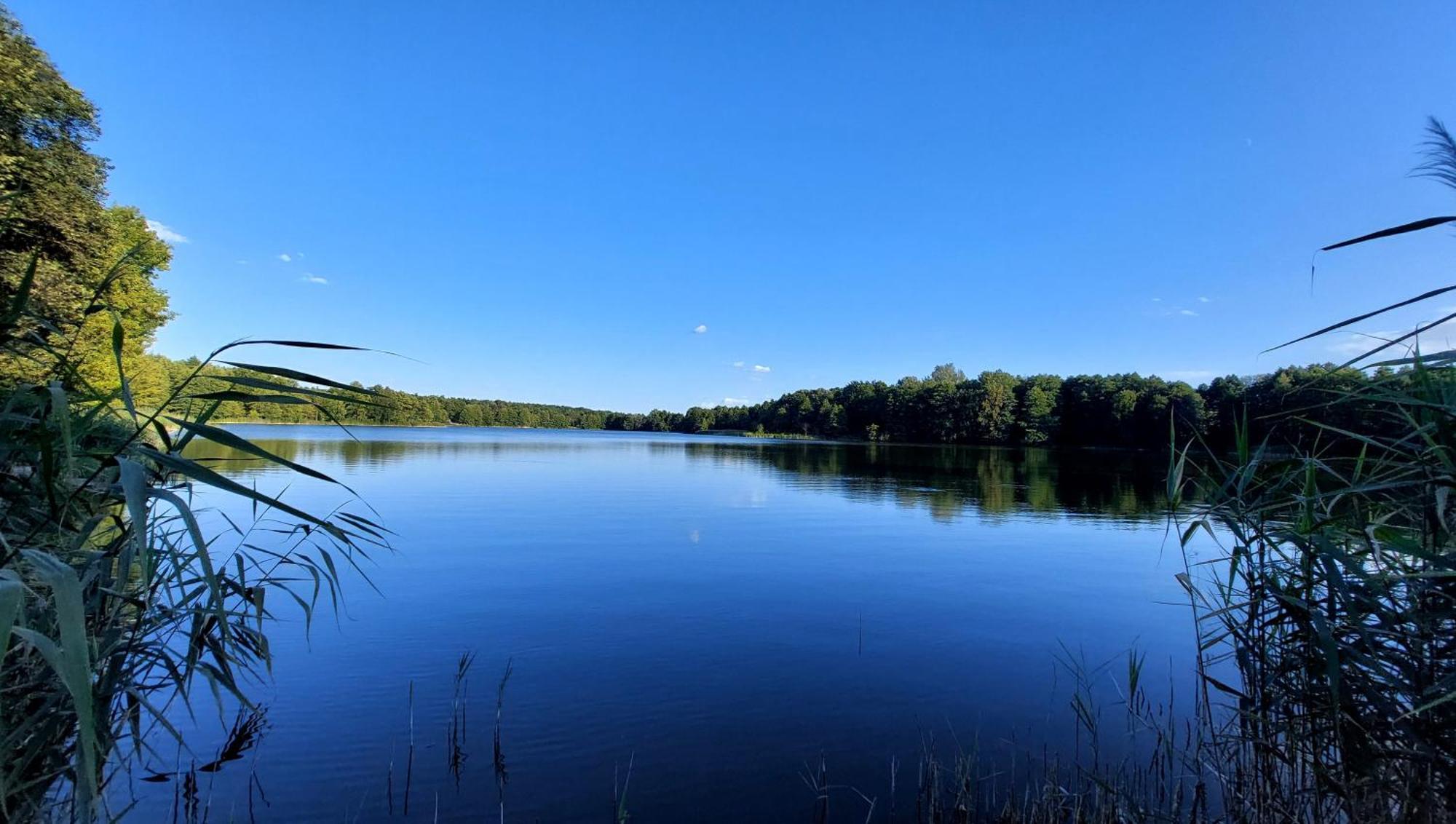 Коттеджный Городок Чапаевка, Голосеевкий Район Kiev Esterno foto
