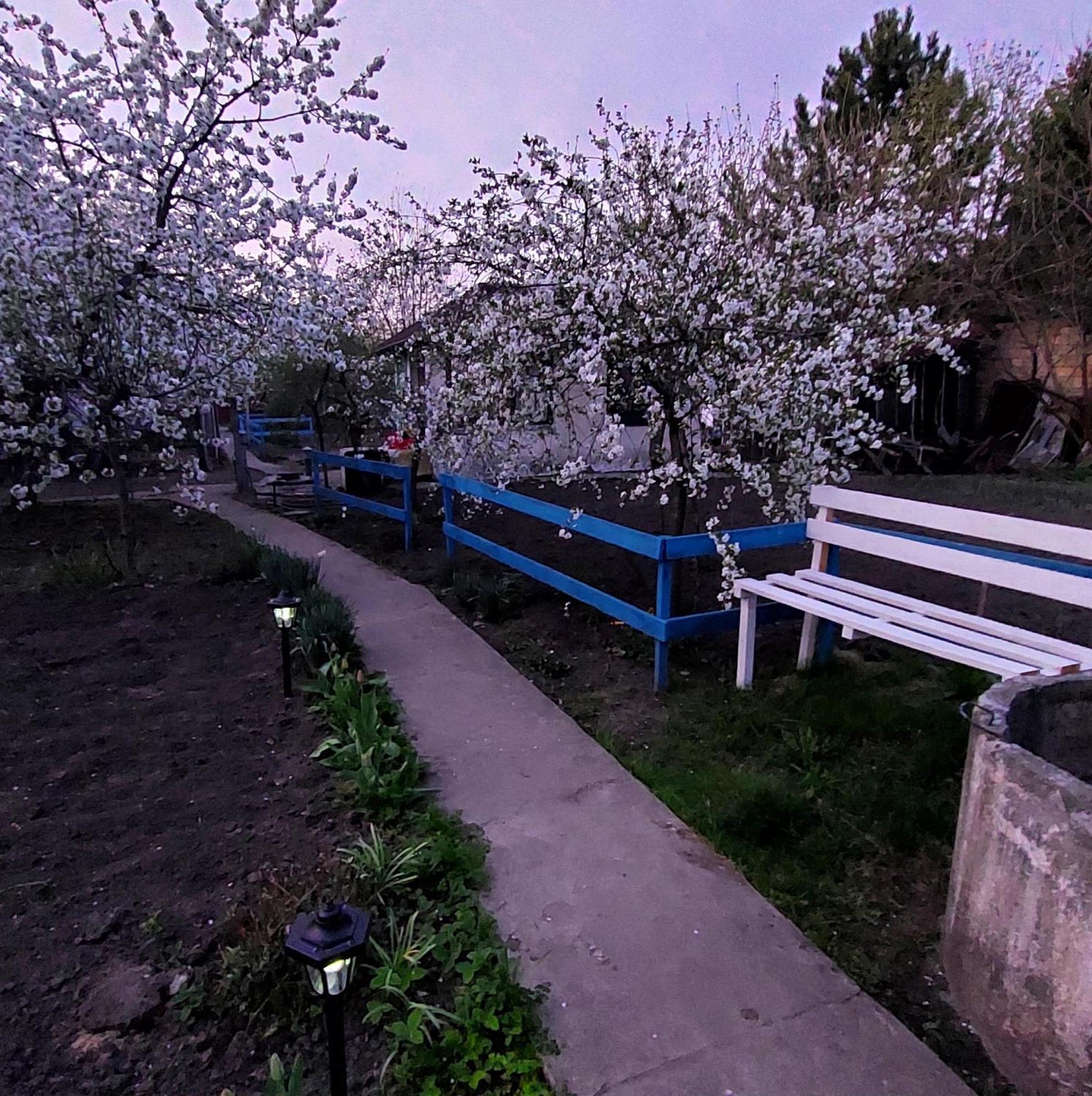 Коттеджный Городок Чапаевка, Голосеевкий Район Kiev Esterno foto
